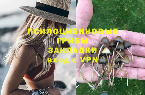 стафф Покачи