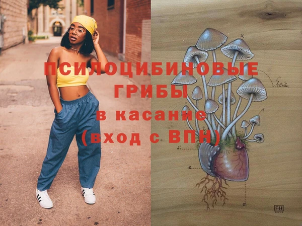 круглые Арсеньев