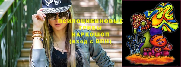 бошки Алексин