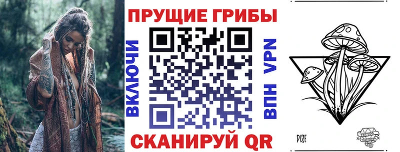 Псилоцибиновые грибы Cubensis где найти это официальный сайт Краснослободск